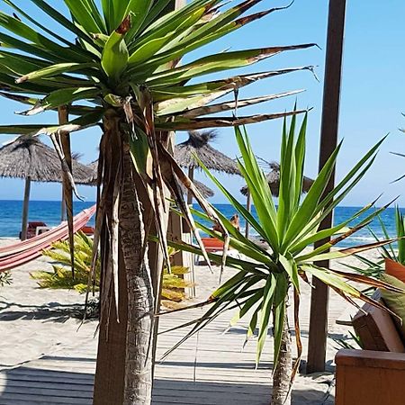 Beau Studio A 1 Minute De La Plage Canet-en-Roussillon Luaran gambar